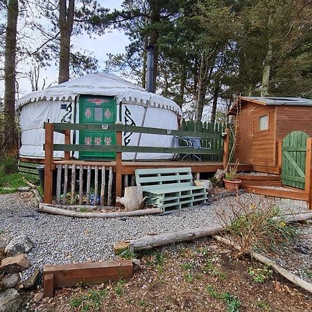 The Tall Pines Yurt Helmsdale Exteriör bild