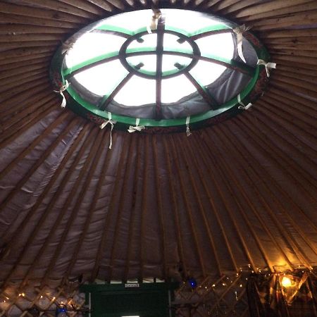 The Tall Pines Yurt Helmsdale Exteriör bild