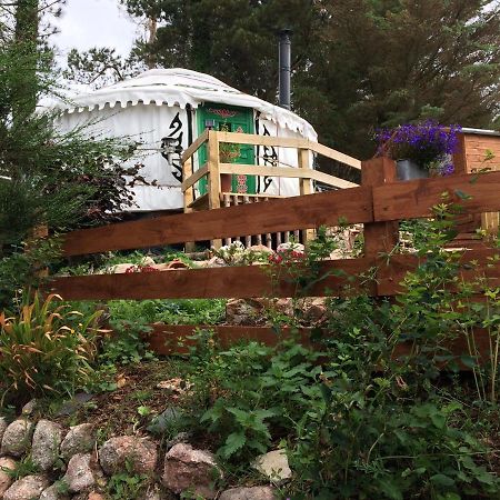 The Tall Pines Yurt Helmsdale Exteriör bild