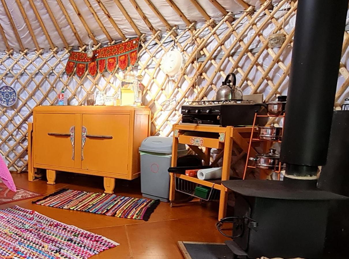 The Tall Pines Yurt Helmsdale Exteriör bild