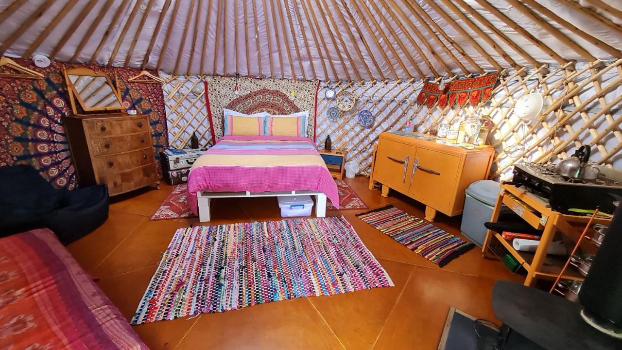 The Tall Pines Yurt Helmsdale Exteriör bild
