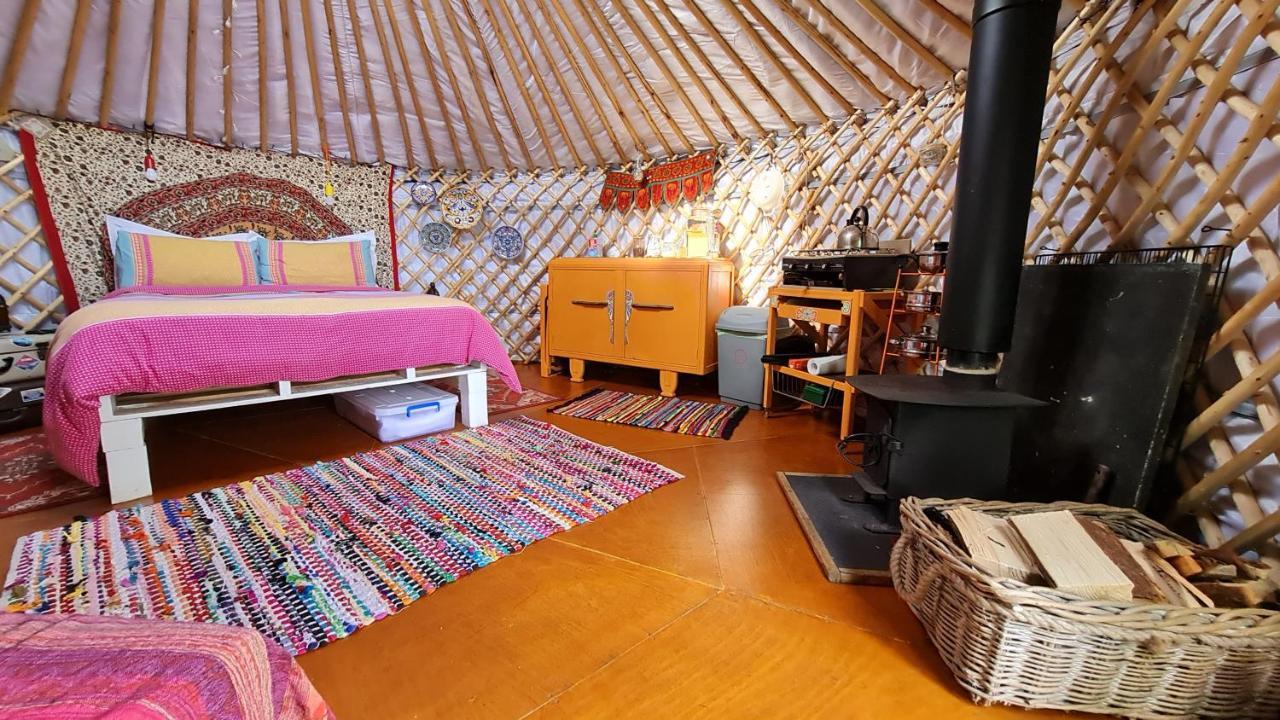 The Tall Pines Yurt Helmsdale Exteriör bild