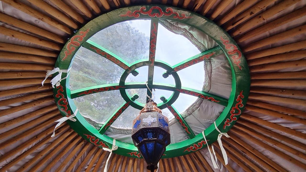 The Tall Pines Yurt Helmsdale Exteriör bild