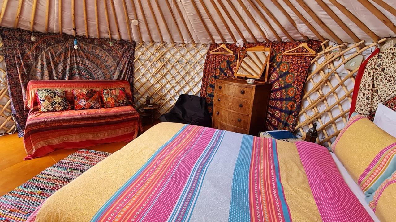 The Tall Pines Yurt Helmsdale Exteriör bild