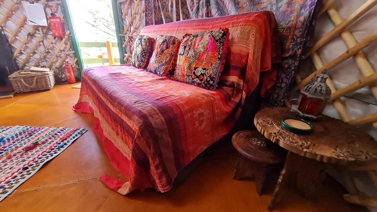 The Tall Pines Yurt Helmsdale Exteriör bild