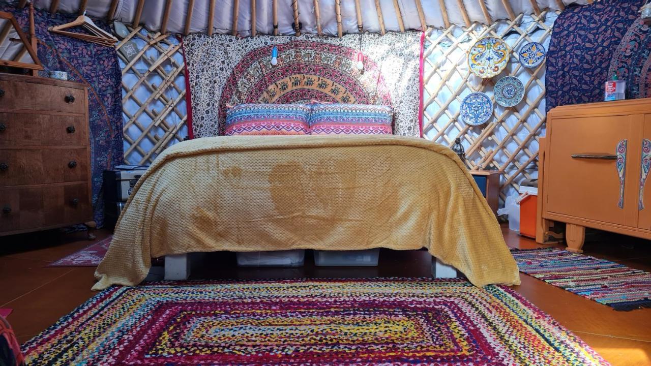 The Tall Pines Yurt Helmsdale Exteriör bild
