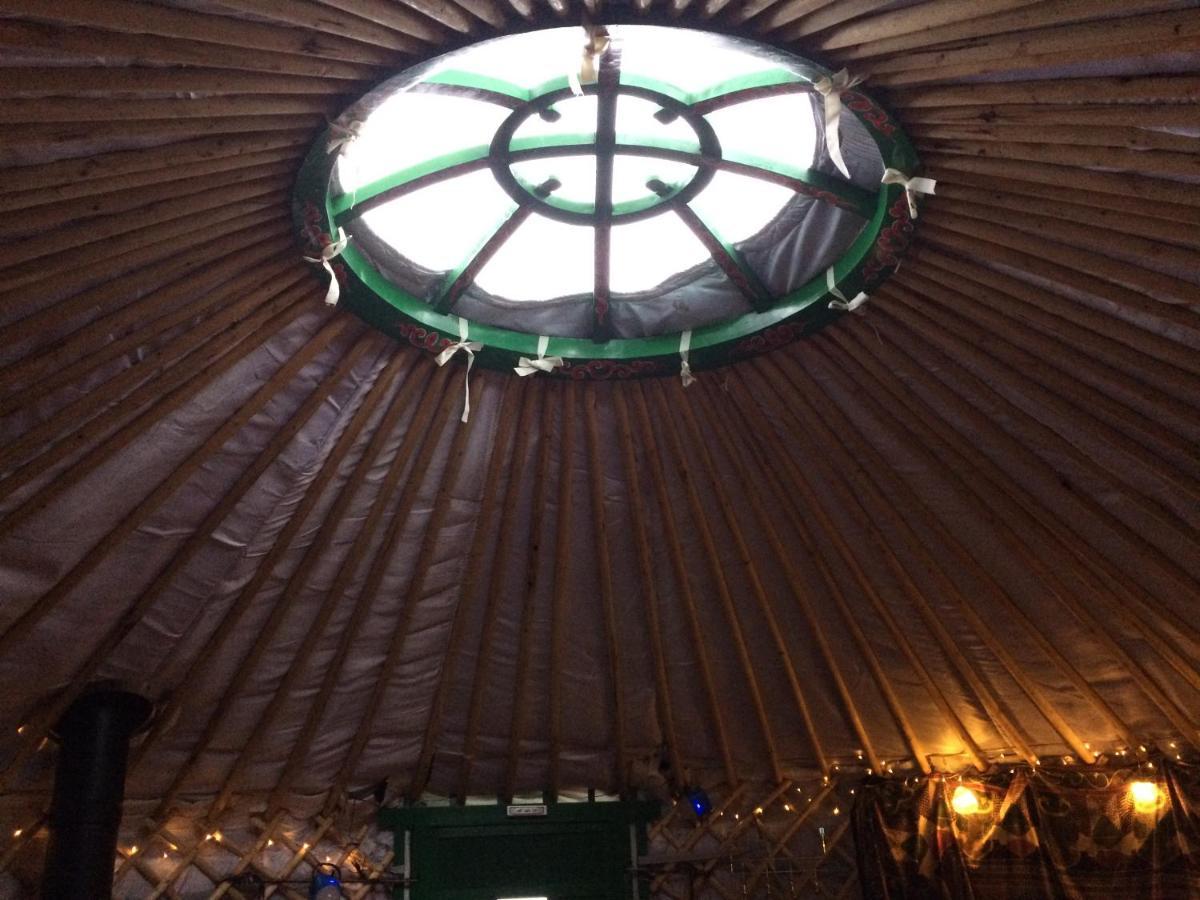 The Tall Pines Yurt Helmsdale Exteriör bild