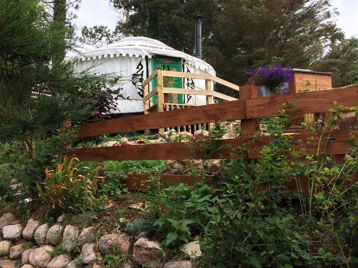 The Tall Pines Yurt Helmsdale Exteriör bild
